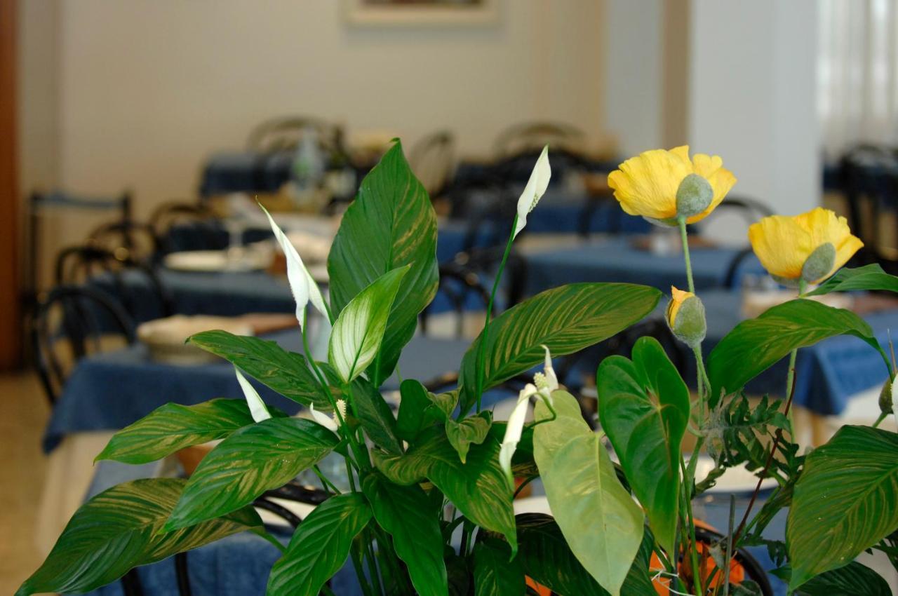Sorriso 3* Cattolica